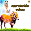 About Ashish Patil Binjod Chhakdewala Song